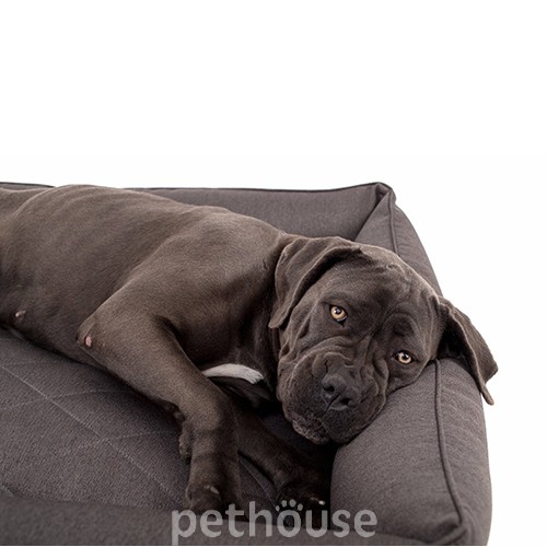 Harley and Cho М'який лежак з бортами Sofa Grey