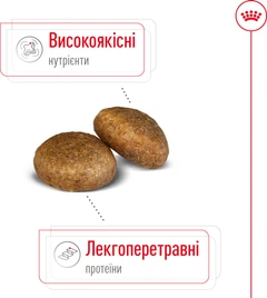 Royal Canin Корм з куркою для літніх собак великих порід