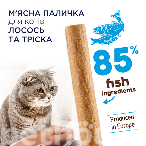 Club 4 Paws Ласощі Клуб Лапи Premium для котів