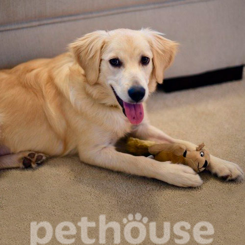Outward Hound Hide-A Refill Animals Білка з пискавкою для собак
