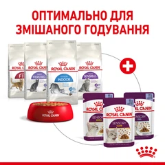 Royal Canin Вологий корм (шматочки в желе) з м'ясо та м'ясні субпродукти для дорослих котів