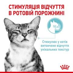 Royal Canin Вологий корм (шматочки в желе) з м'ясо та м'ясні субпродукти для дорослих котів