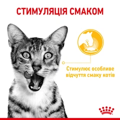 Royal Canin Вологий корм (шматочки в желе) з м'ясо та м'ясні субпродукти для дорослих котів
