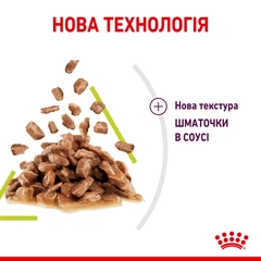 Royal Canin Вологий корм (шматочки в соусі) з м'ясо та м'ясні субпродукти риба для дорослих котів