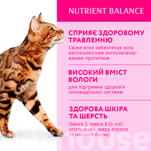 Optimeal Вологий корм (шматочки в желе) з ягнятиною для котів