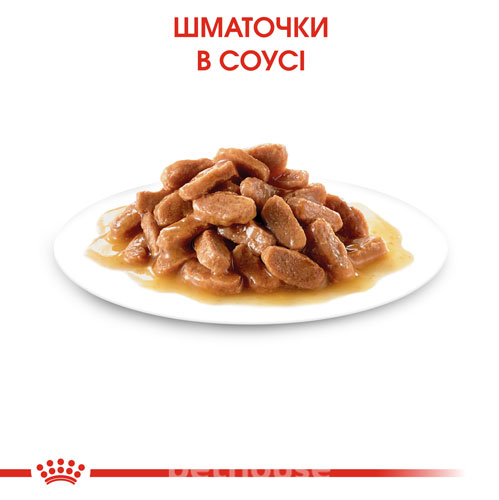Royal Canin Корм з м'ясо та м'ясні субпродукти для кошенят