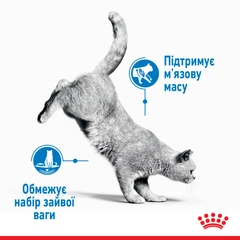 Royal Canin Вологий корм (шматочки в соусі) з м'ясо та м'ясні субпродукти для котів
