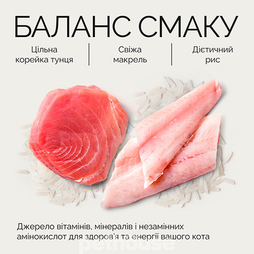Savory Вологий корм (шматочки в желе) з риба тунець макрель для дорослих котів