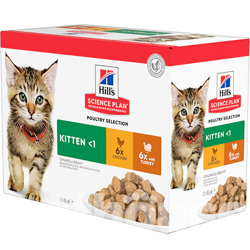 Hill's Корм з курка індичка для кошенят