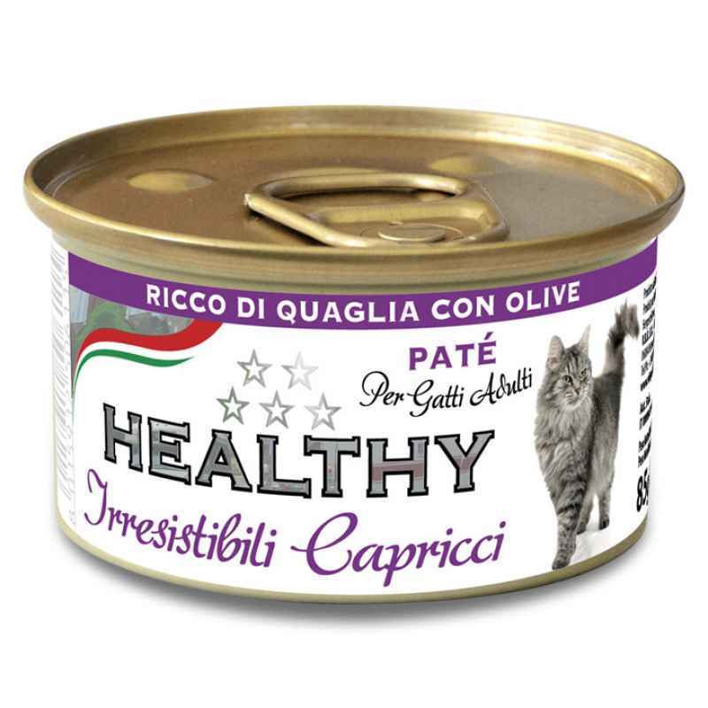 Healthy Корм з дичина для котів