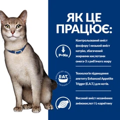 Hill's Сухий лікувальний корм Hill`s (Хілс) Prescription Diet Cat Chicken K/D Kidney Care Adult для дорослих котів при захворюваннях нирок з м’ясом курки 300 г (арт 605989)