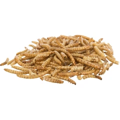 Trixie Ласощі гризунів Хрущак борошняний для хом'яків