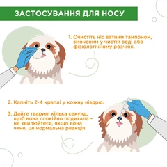 Modes - Противірусні очні та назальні каплі Анавірин для котів та собак