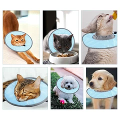 Комір для кішок Lesko DT1504 L Blue післяопераційний захисний від вилизування