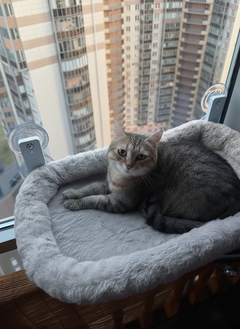 Say Meow Підвісна віконна лежанка – гамак для кішок, лежак для котів на вікно на потужних присосках "Premium Quality"