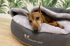 Лежак для Собак та Котів Haustier Lounge Gray з капюшоном XS - діаметр 50см (B10-4-059)