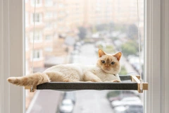 Лежак-гамак на вікно для котів PetJoy wwhite1gray