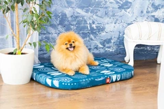 Чохол для лежанки WAUDOG Relax, малюнок "Абстракція", розмір S, 55х40 см (1308-0104)