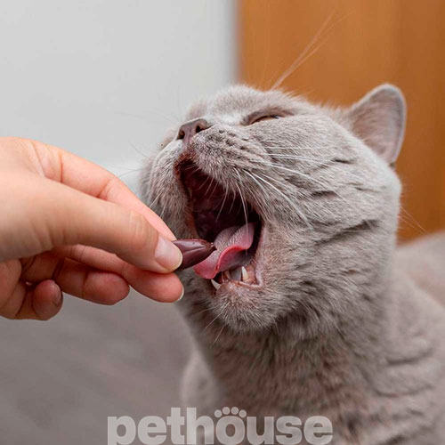 VetExpert (ВетЕксперт) UrinoVet Cat Dilution - Препарат для підкислення сечі котів з проблемами сечовивідних шляхів