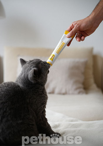 GimCat Добавка для котів