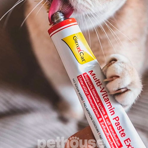 GimCat Добавка для котів