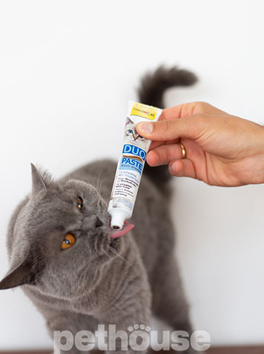 GimCat Добавка для котів