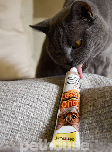 GimCat (ДжимКет) Anti-Hairball Cheese & Malt Duo-Paste - Паста зі смаком сиру для виведення шерсті у котів