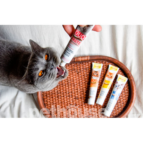 GimCat (ДжимКет) Anti-Hairball Cheese & Malt Duo-Paste - Паста зі смаком сиру для виведення шерсті у котів