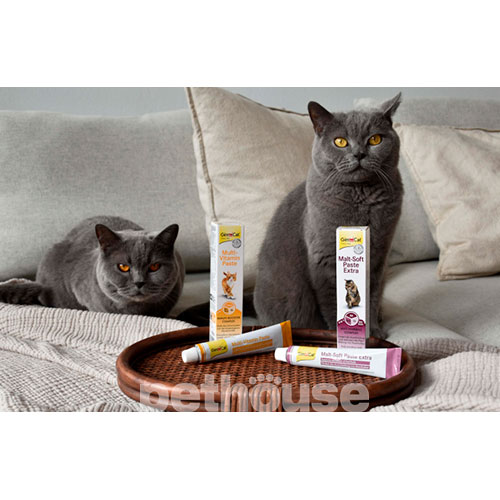 GimCat Добавка для котів
