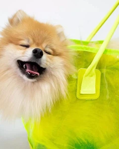 Сумка для перенесення котів та собак 36x30x20 см CosmoPet CP-104 Салатовий (JDT-0848096)