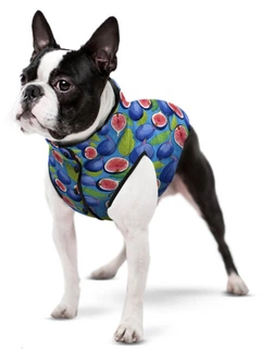 Куртка для собак WAUDOG Clothes малюнок "Інжир" S35, В 47-50 см, С 30-33 см (405-4053collar)