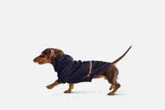 Noble Pet Дощовик з капюшоном для собак Noblepet Moss Blue, одяг для собак унісекс, M-Long (M4106/M-Long-Blue)