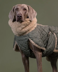 Paika Тепла попона для собак Winter Sherpa Jacket Olive Paikka 30