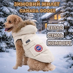 Жилетка зимова для собак CANADA GOOSE з капюшоном бежева Розмір M
