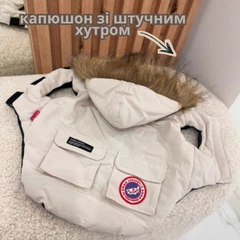 Жилетка зимова для собак CANADA GOOSE з капюшоном бежева Розмір M