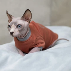 кофта для кішки Style Pets «TOY» (0019br) XL+