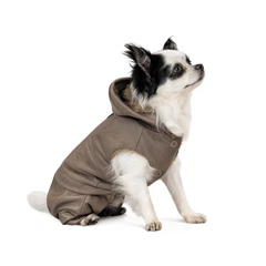 Костюм для собак Pet Fashion "Pf Style" XXS