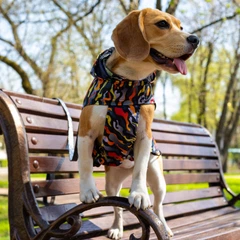 Дощовик для Собак Barksi Textile з Капюшоном Гравітація 2XS (17518725)