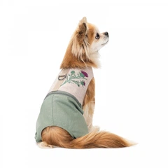 Pet Fashion Шлея-костюм Patrik S