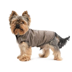 Pet Fashion Жилет Hardy М для собак