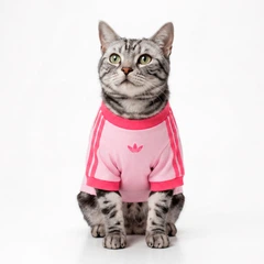 Футболка для домашніх тварин PET CALI adidas KY8729 (L) рожевий (4069999724522)