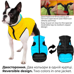 Курточка жилетка на блискавці двостороння для собак Hello чорно-блакитна розмір L #1