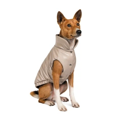 Жилет для собак Pet Fashion "Bright" M (бежевий)