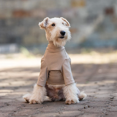 Vpetbr Базовий комбінезон/піжама для собак V.PET.B.R. Dog Jumpsuit CF36 Khaki, XS