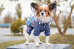 Комбінезон Smart Pet Роуз, S2m Синій