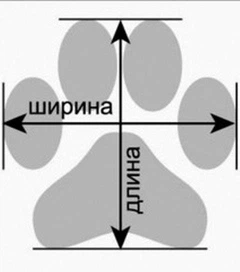 Без бренду Черевики взуття для собак для собак Фантазія No5-8,5 х 12 х 21,5 см 4287521