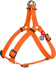 Шлея для собак водостійка WAUDOG Waterproof з QR-паспортом 30-39 см Жовтогаряча (27634Collar)