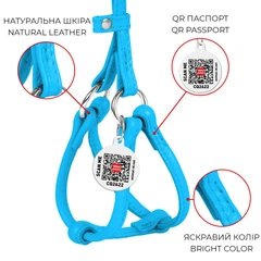 Кругла шкіряна шлея WAUDOG Glamour N1 з QR паспортом з повідцем для котів і дрібних собак 105 см 6 мм Блакитна (34012)