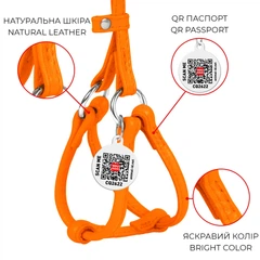 Кругла шкіряна шлея WAUDOG Glamour N2 з QR паспортом з повідцем для котів і дрібних собак 90 см 6 мм Помаранчева (34024)