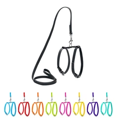Collar Шлея з повідцем для собак шкіряна WAUDOG Glamour з QR паспортом, Ш 12 мм, А 25-33 см, В 35-43 см чорний